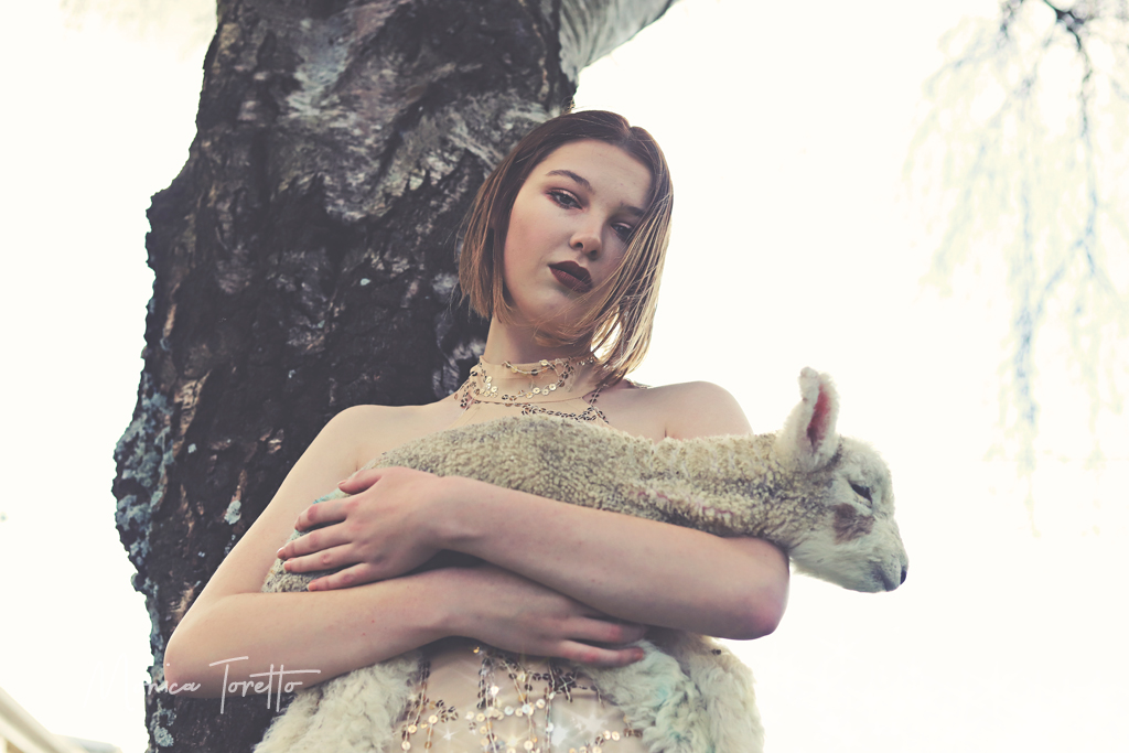 That “It’s Raining Lambs” shoot