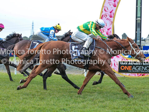 Wairio Jockey Club, May 10, 2026