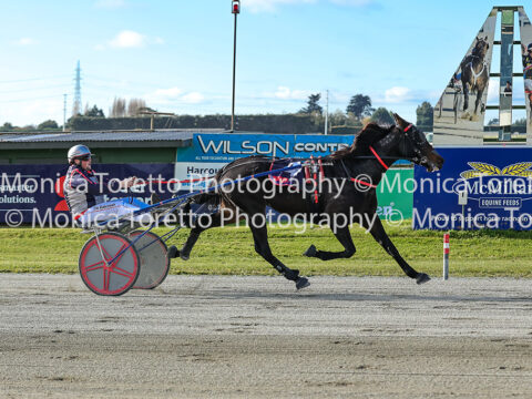 Invercargill Harness, May 17th, 2026