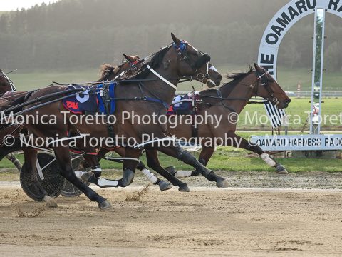 Oamaru Harness, September 13, 2026