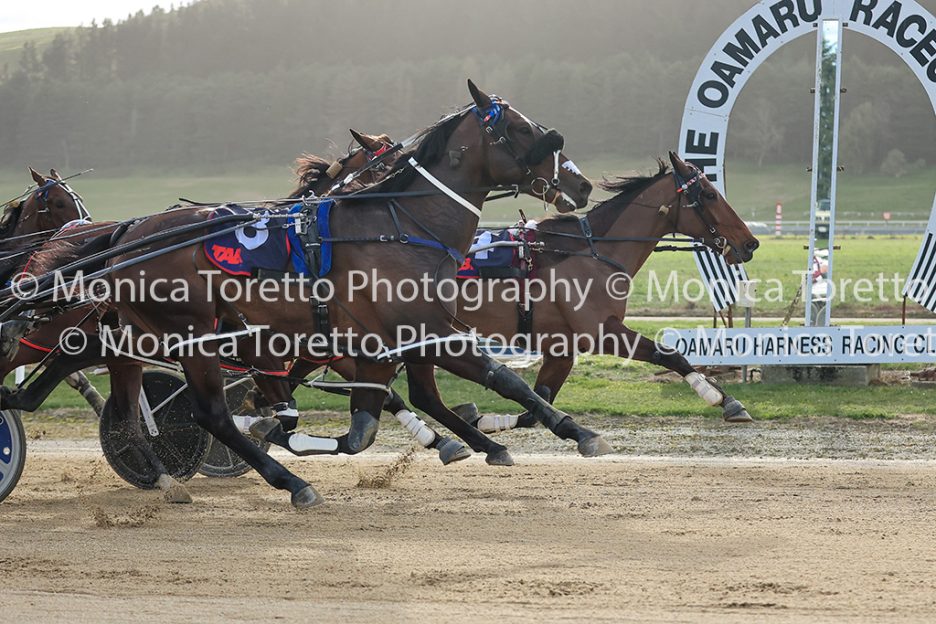 Oamaru Harness, September 13, 2026