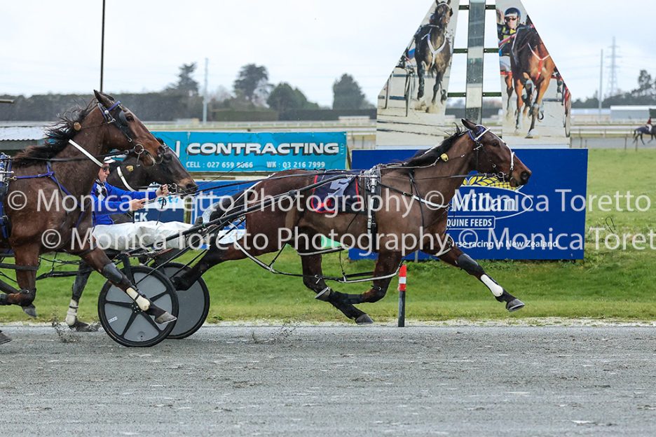 Invercargill Harness, August 9, 2026