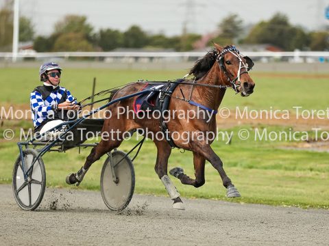 Invercargill Harness, October 15, 2026
