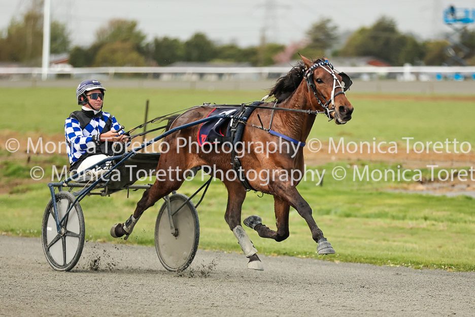 Invercargill Harness, October 15, 2026